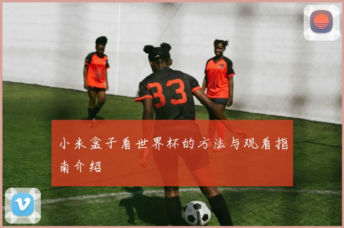 小米盒子看世界杯的方法与观看指南介绍