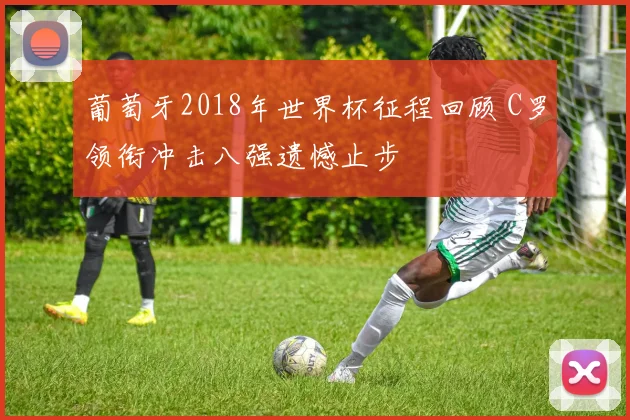 葡萄牙2018年世界杯征程回顾 C罗领衔冲击八强遗憾止步