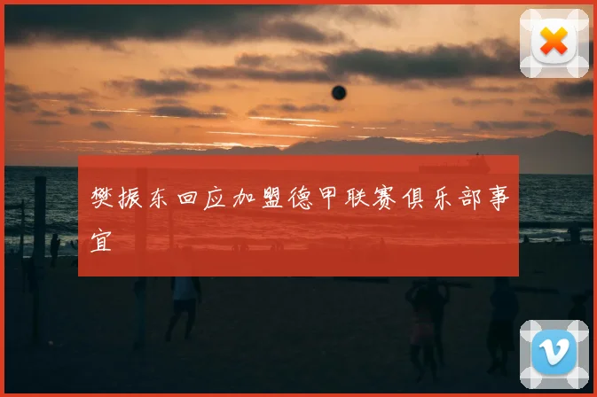 樊振东回应加盟德甲联赛俱乐部事宜