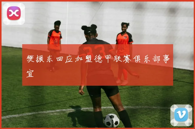 樊振东回应加盟德甲联赛俱乐部事宜